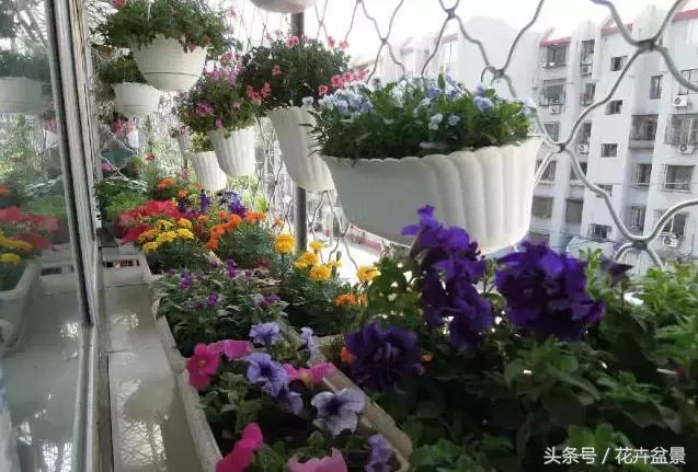對於養花這件事,我們是認真的