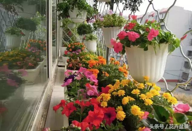 對於養花這件事,我們是認真的