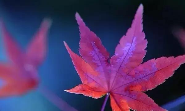 人，累了以後
