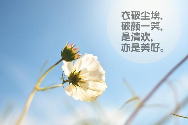 失望無處不在,你需要堅強和努力!