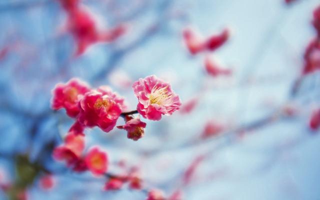 說到心坎裡的經典句子(人生感悟)