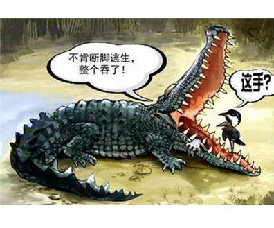 掌握這些心理學,讓你成為一個合格的投資者