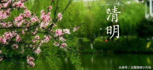 清明節還能祝人快樂? 我都沒辦法呵呵了