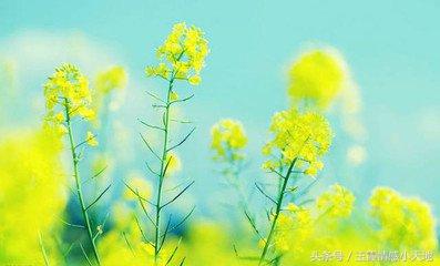 清明節還能祝人快樂? 我都沒辦法呵呵了