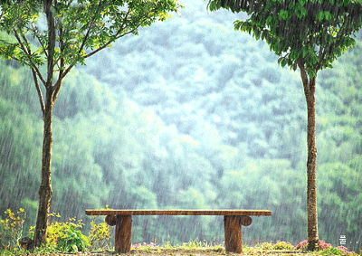 雨中，等你
