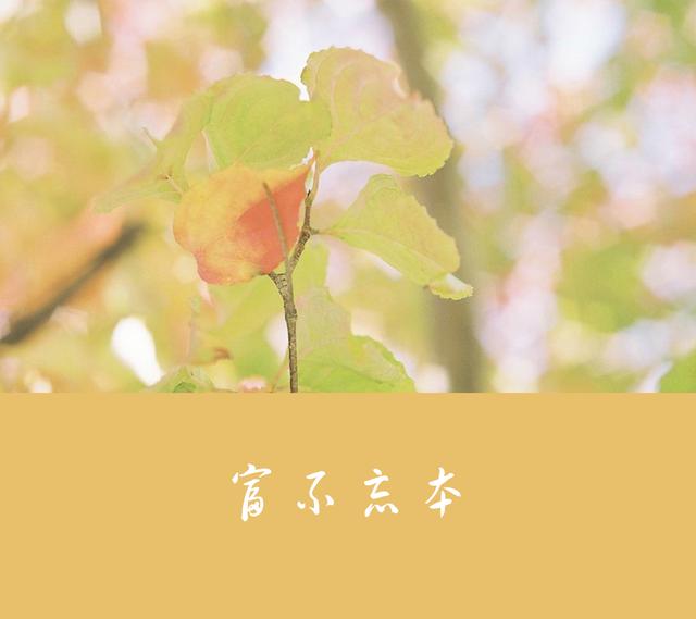 當你窮的時候，記住這兩句話
