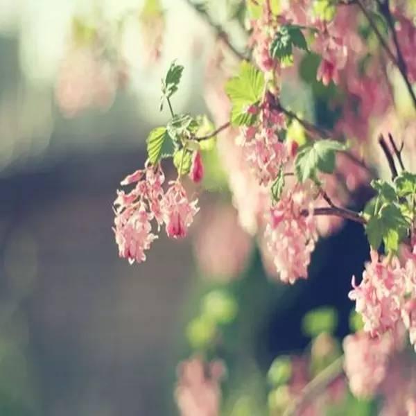 人到中年：八福、八別、八悟