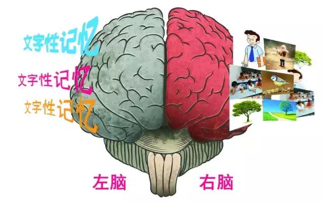 錯過“識字敏感期”真的會害了孩子一生嗎？