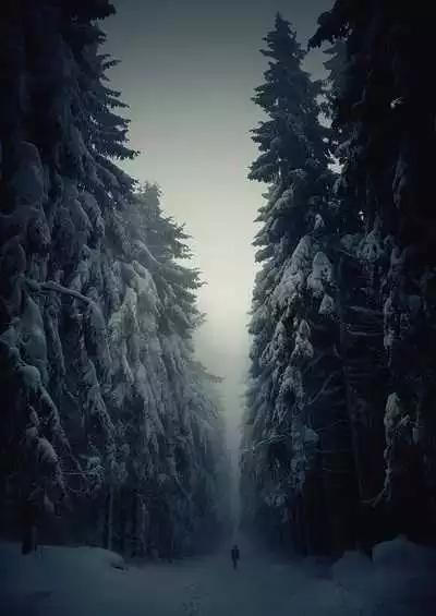 世界上迷人的路，走過讓人心曠神怡！