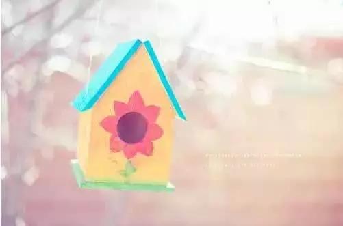 不爭，無憂