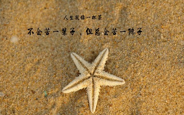 這些話現在不聽，以後一定會哭