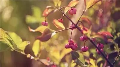 好棒的一段話，送給你