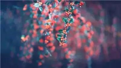 好棒的一段話，送給你