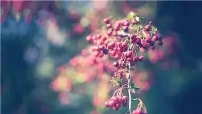好棒的一段話，送給你