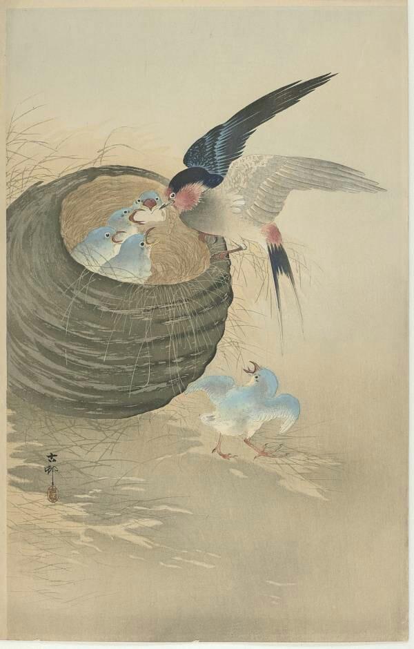 難得糊塗,隨遇而安