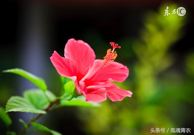 我們可以缺錢,但不能缺德(寫的太好了)
