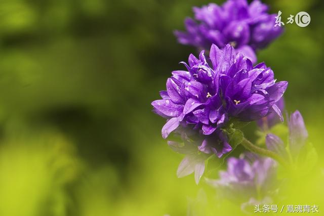 我們可以缺錢,但不能缺德(寫的太好了)