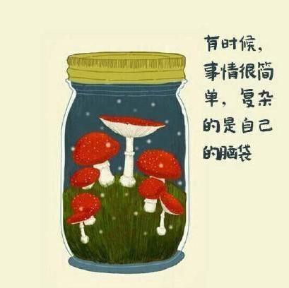 8條治愈系語句(總有一句適合你)