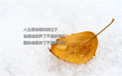 自己的選擇,跪著也要走完