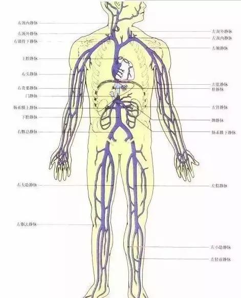 身上筋結散，體內百病去！