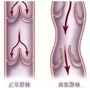 身上筋結散，體內百病去！