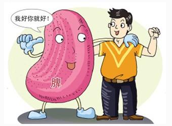 一定要多關注自己脾胃是否健康? 再忙也要看