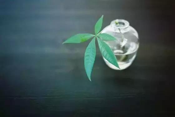 好心情其实是一种素养