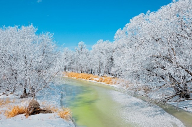 Winter Peace：20 個來自世界各地讓人心靈平靜的美好冬日景像