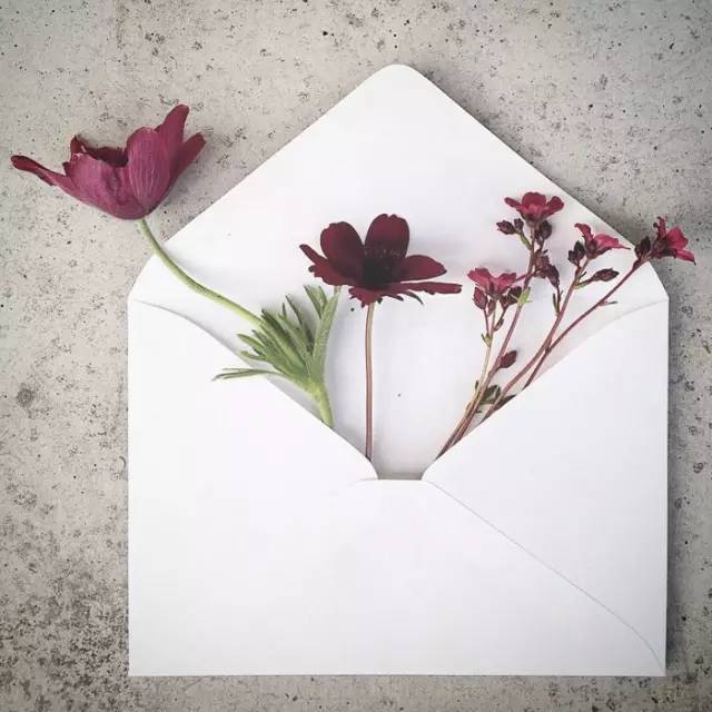一封春天寄給你的信件