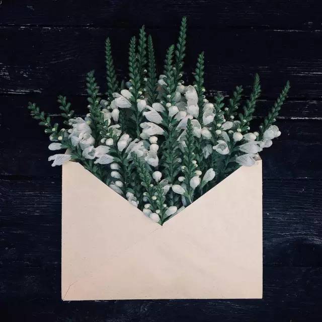 一封春天寄給你的信件