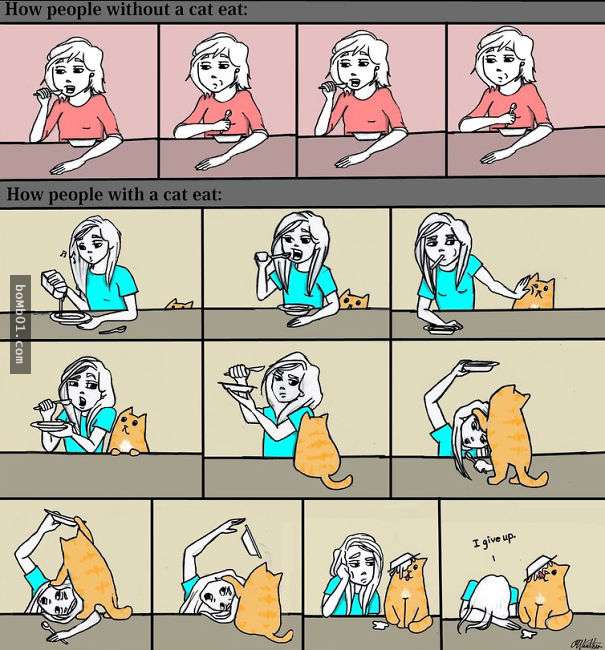 50個永遠讓人無法理解的貓咪邏輯…養貓之人看到第49張圖一定很心酸，很想哭吧！