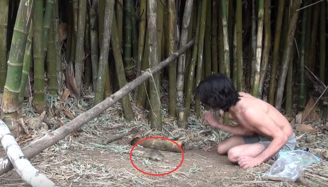 男子將一截竹子挖空放在地上，沒想到第二天神奇的事情發生了！