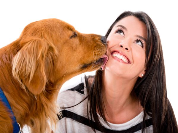 爲何狗狗喜歡舔人？原來牠這個動作是想告訴你這些事！