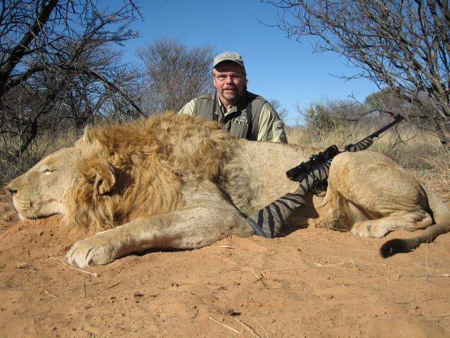 禁獵期結束，獵人舉獵槍大開殺戒，獅子犀牛都遭殃，讓人心寒！