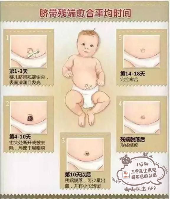 寶媽必看10張圖，60秒讀懂寶寶的各項生理指標！