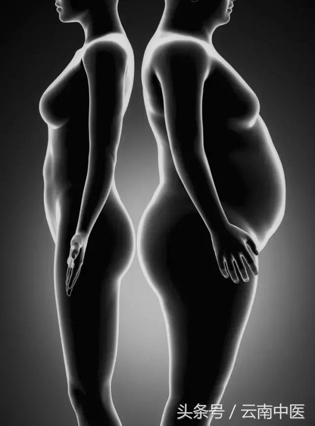 殷浩然：女人為什麼胖在腰部？