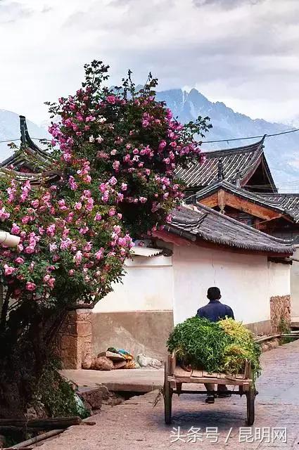 這才是雲南最妖豔的10個地方，你去過幾個？