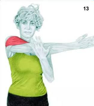 筋長一寸，壽延十年？ ！ 34式超清瑜伽拉伸舒展你的全身筋骨！