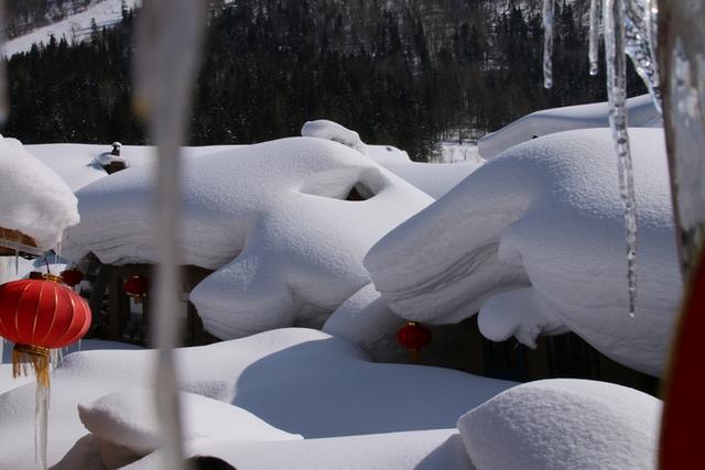 3月11日的雪鄉雪景，比冬天的雪還美！