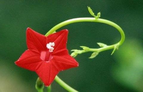 人生,懂知足