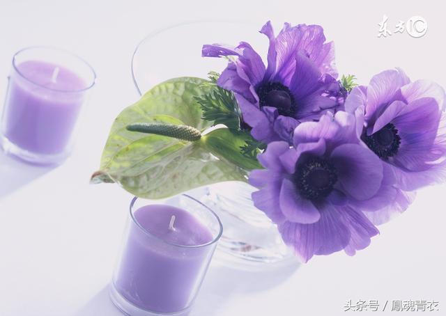 人,不能忘本,心,不能忘恩