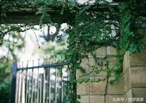 寧願裝傻,切莫聰明