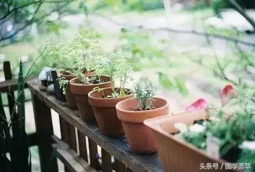 寧願裝傻,切莫聰明