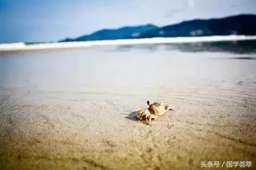 寧願裝傻,切莫聰明