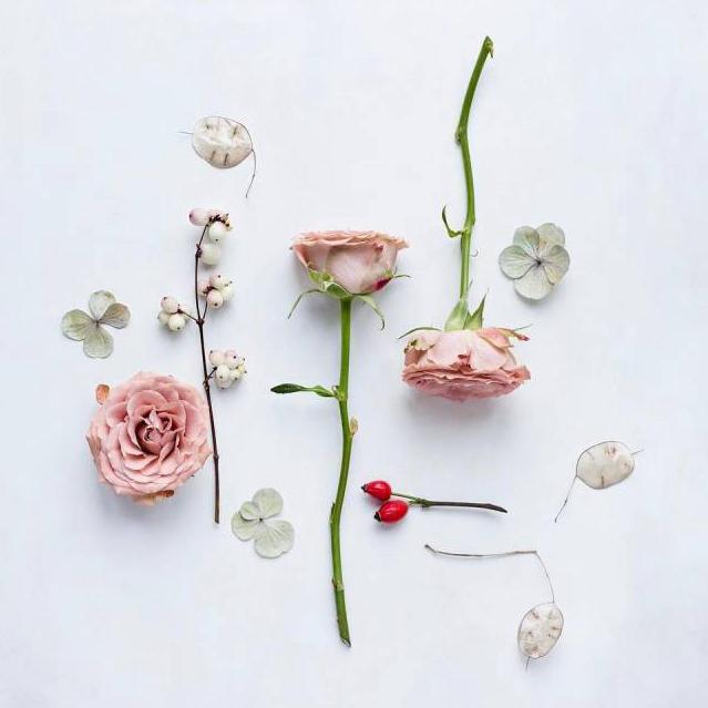 學點花藝,願得時光不輕擾