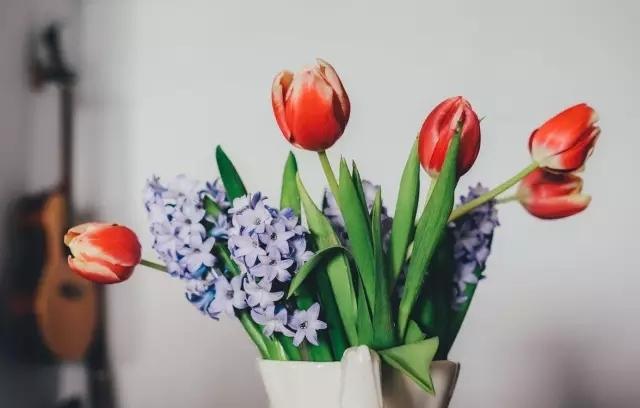 學點花藝,願得時光不輕擾