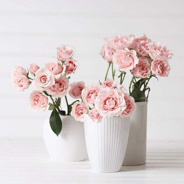學點花藝,願得時光不輕擾