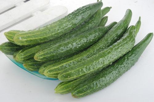 黃瓜營養價值高,但是一定不能這樣吃!