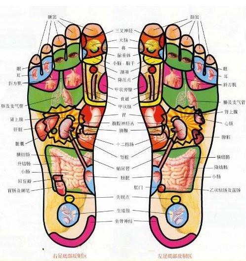 人體有病腳先知,雙腳就是體檢師