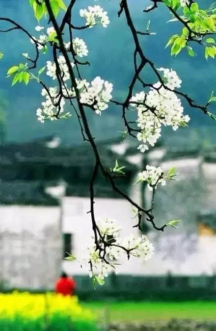 靜靜地欣賞(好美)